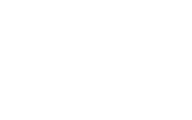 Avis Logo